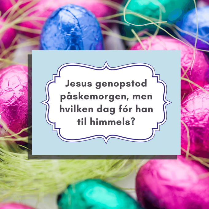 Den Store Påskequiz - Lou Noire - blå Den Store Påskequiz - Lou Noire - blå