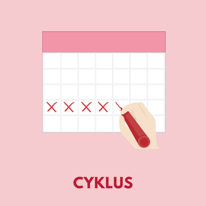 Menstruations-Memo - Lou Noire - cyklus