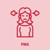 Menstruations-Memo - Lou Noire - PMS
