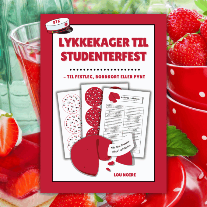 Cover - Lykkekager til studenterfest - stx - Lou Noire