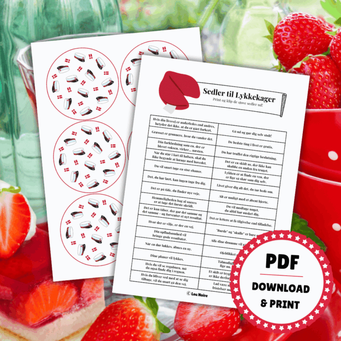 Festleg - Lykkekager til studenterfest - stx - Lou Noire