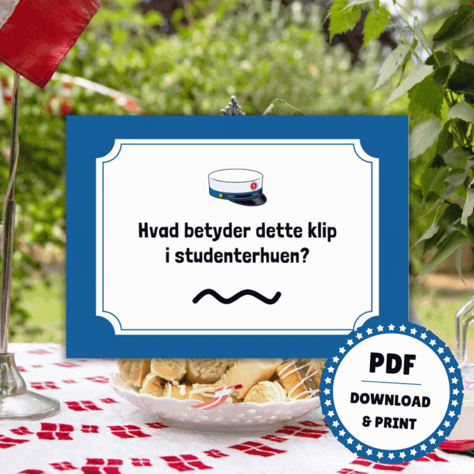 Det Store Quiz-Show til Studenten - HHX - Lou Noire - Regler for studenterhue