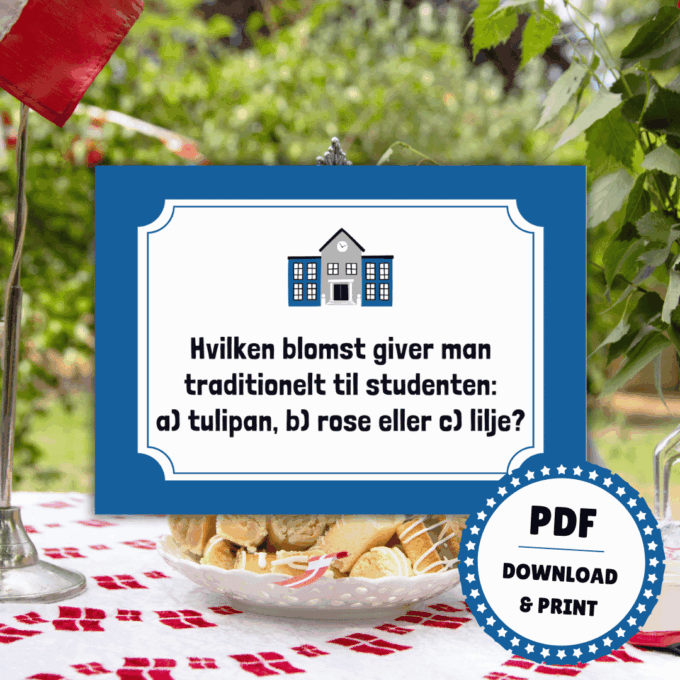 Det Store Quiz-Show til Studenten - HHX - Lou Noire - Rose til studenten