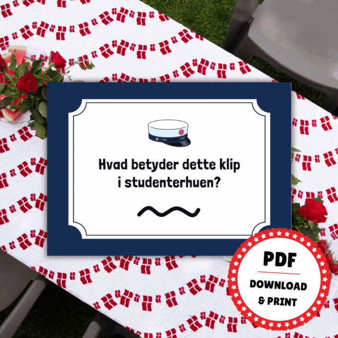 Det Store Quiz-Show til Studenten - HTX - Lou Noire - Regler for studenterhue