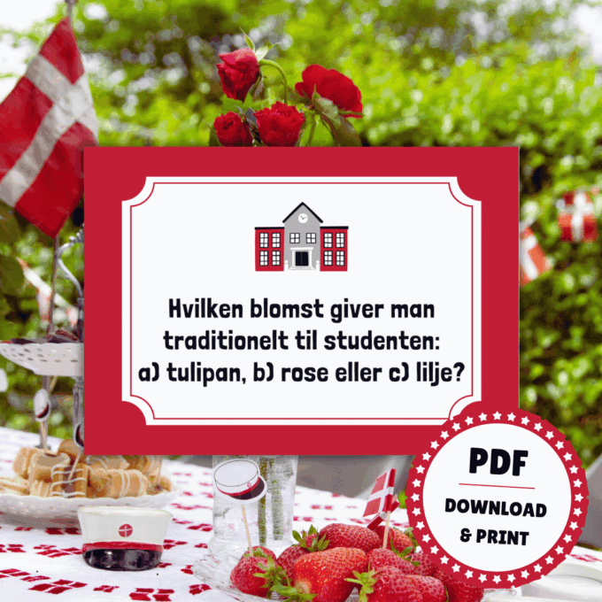 Det Store Quiz-Show til Studenten - STX - Lou Noire - Studentergilde