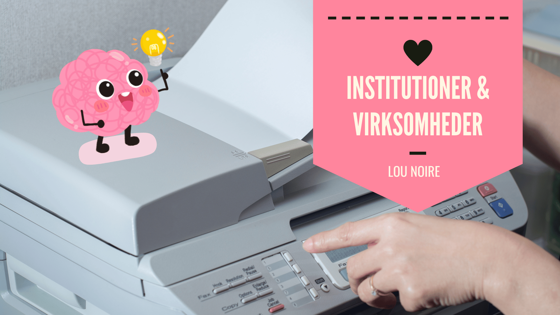 Institutioner & virksomheder - Lou Noire